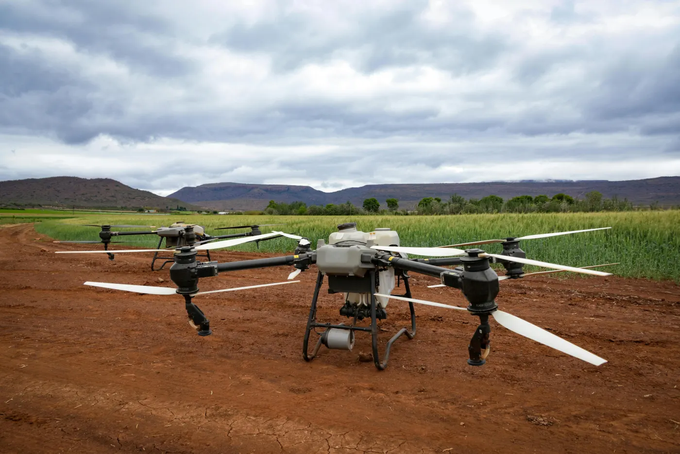 Drone de pulverização pousado numa área de terra preparada, com lavoura ao fundo